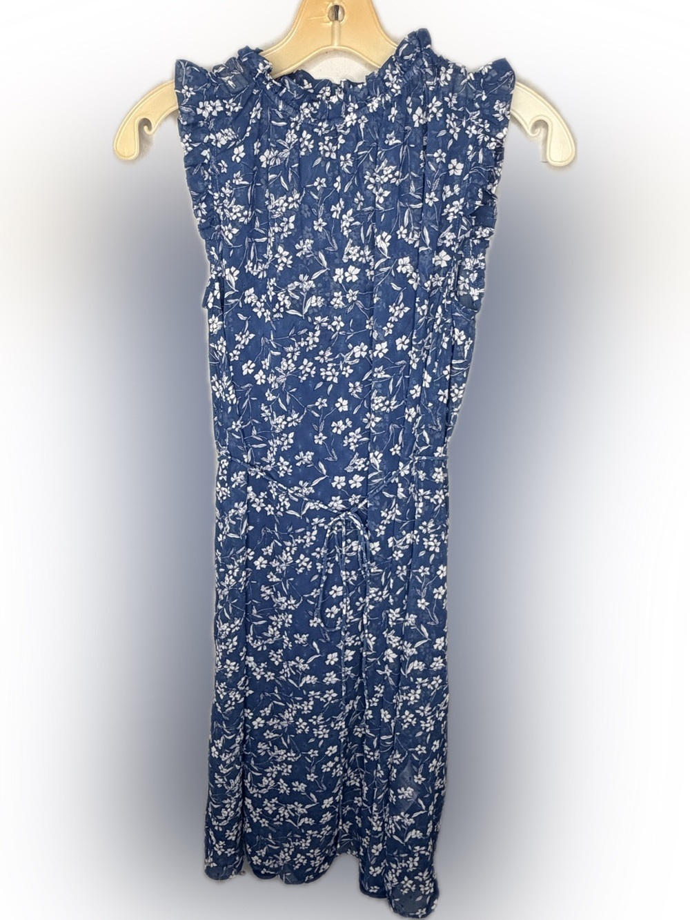 Banana Republic Blue Floral Dress
